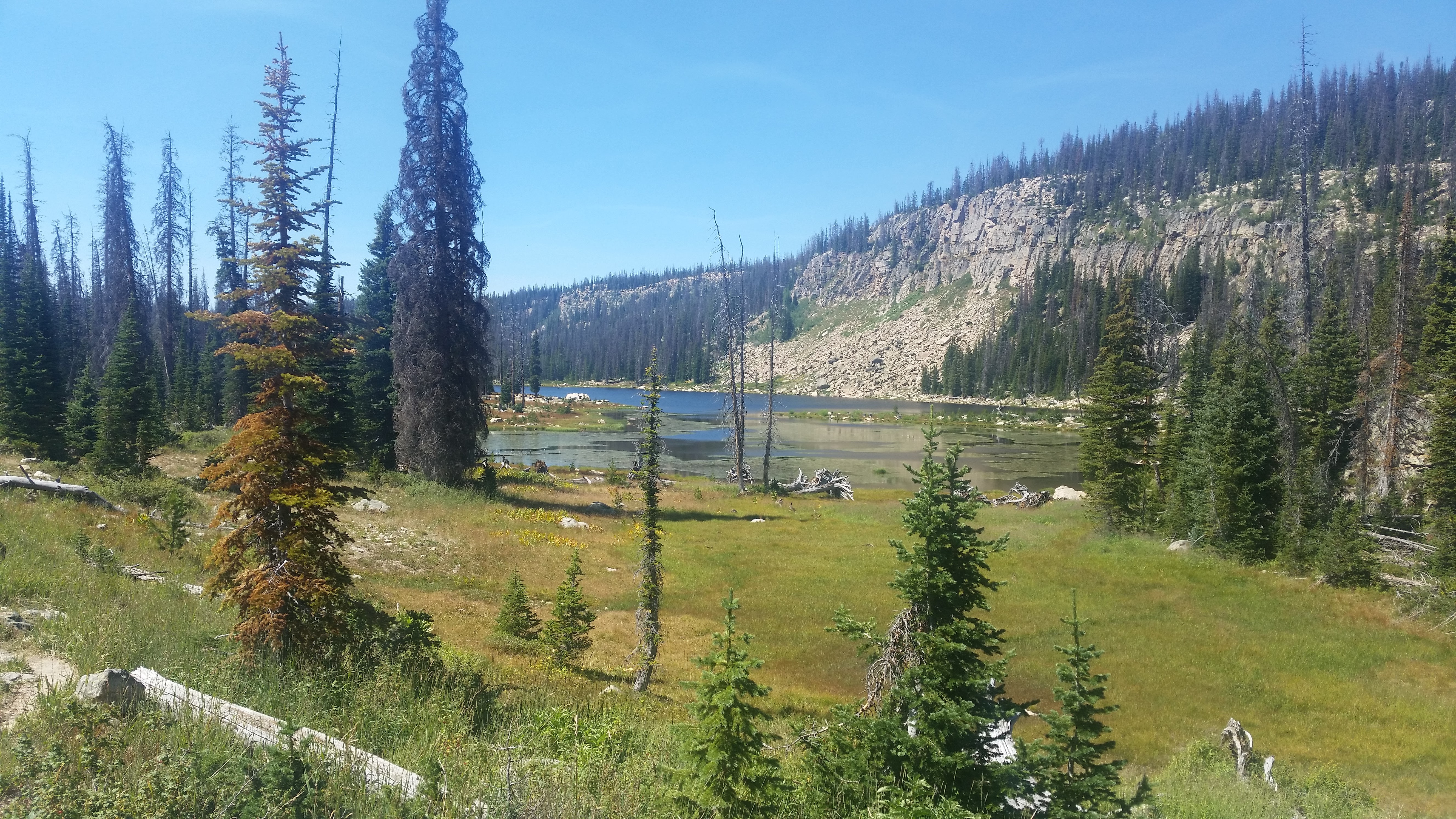 Snowbird – Utah · 2016